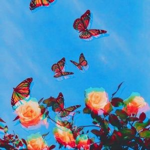 Meet your Posher, Miranda